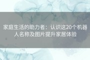 家庭生活的助力者：认识这20个机器人名称及图片提升家居体验