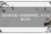 超仿真机器人视频震撼亮相，令人目瞪口呆！