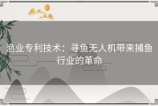 渔业专利技术：寻鱼无人机带来捕鱼行业的革命