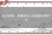 从天而降：老鹰捉无人机调查犯罪行为