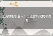 上海锥能机器人：工业智能化的领先者