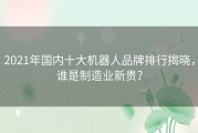 2021年国内十大机器人品牌排行揭晓，谁是制造业新贵？