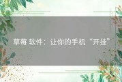 草莓 软件：让你的手机“开挂”