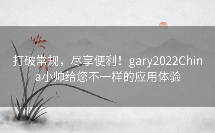 打破常规，尽享便利！gary2022China小帅给您不一样的应用体验