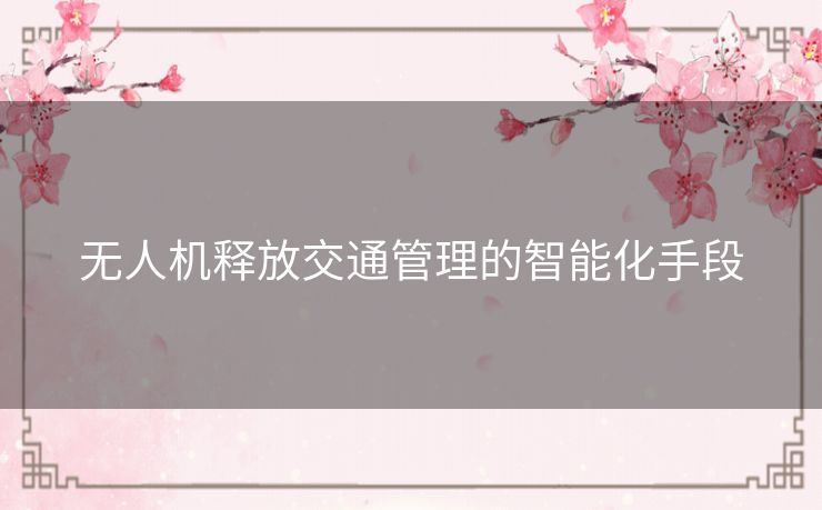 无人机释放交通管理的智能化手段