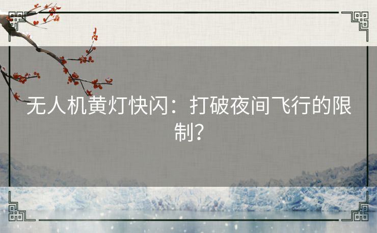 无人机黄灯快闪：打破夜间飞行的限制？