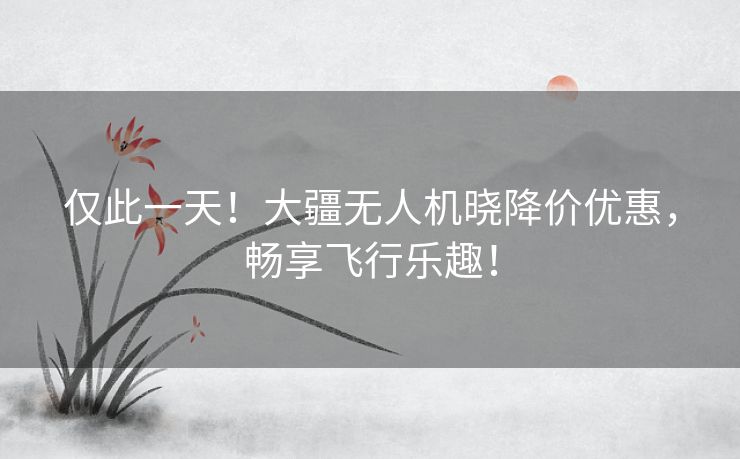 仅此一天！大疆无人机晓降价优惠，畅享飞行乐趣！