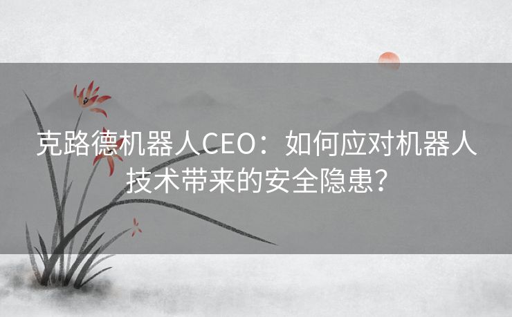 克路德机器人CEO：如何应对机器人技术带来的安全隐患？