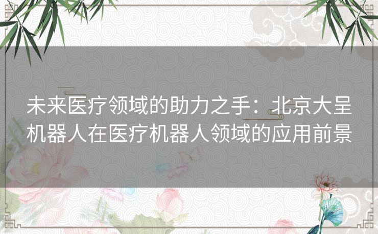 未来医疗领域的助力之手：北京大呈机器人在医疗机器人领域的应用前景