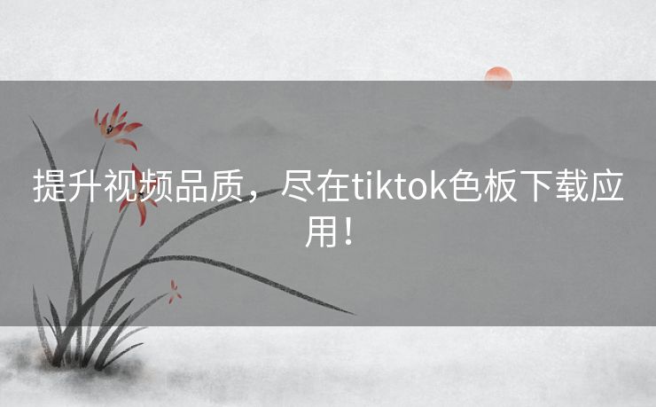 提升视频品质，尽在tiktok色板下载应用！