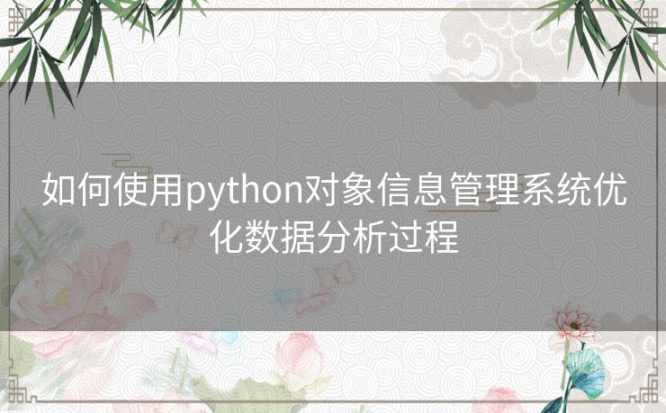 如何使用python对象信息管理系统优化数据分析过程