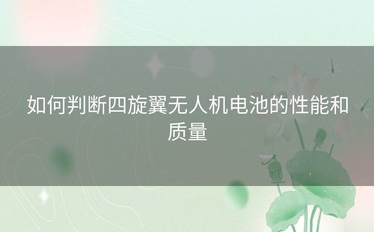 如何判断四旋翼无人机电池的性能和质量