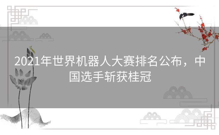 2021年世界机器人大赛排名公布，中国选手斩获桂冠