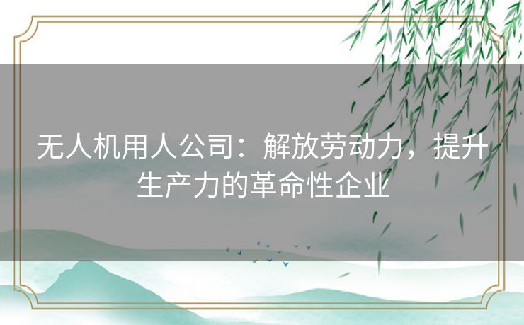 无人机用人公司：解放劳动力，提升生产力的革命性企业