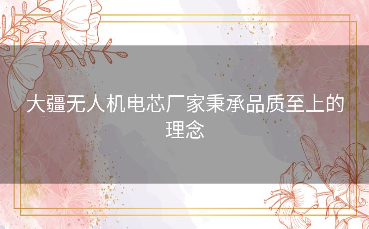 大疆无人机电芯厂家秉承品质至上的理念