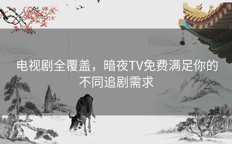 电视剧全覆盖，暗夜TV免费满足你的不同追剧需求