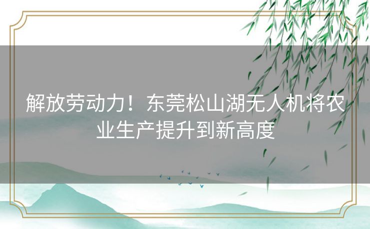 解放劳动力！东莞松山湖无人机将农业生产提升到新高度