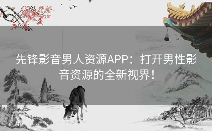 先锋影音男人资源APP：打开男性影音资源的全新视界！