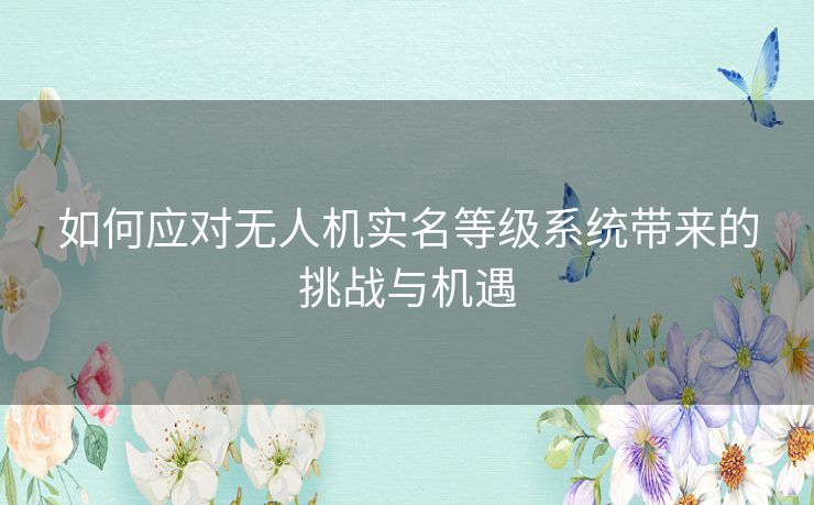 如何应对无人机实名等级系统带来的挑战与机遇