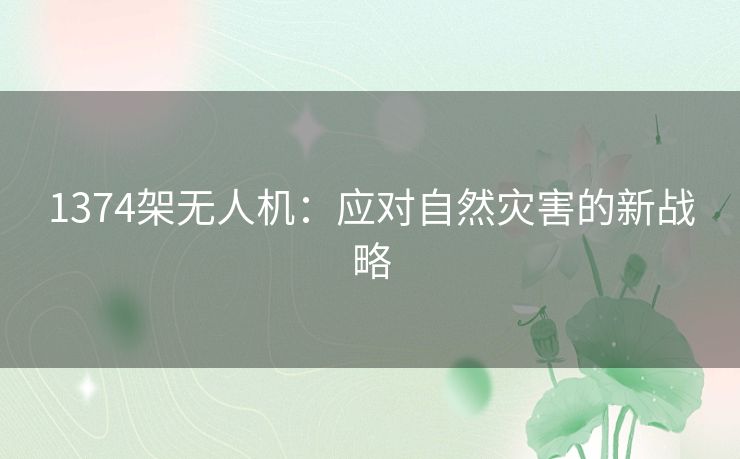 1374架无人机：应对自然灾害的新战略