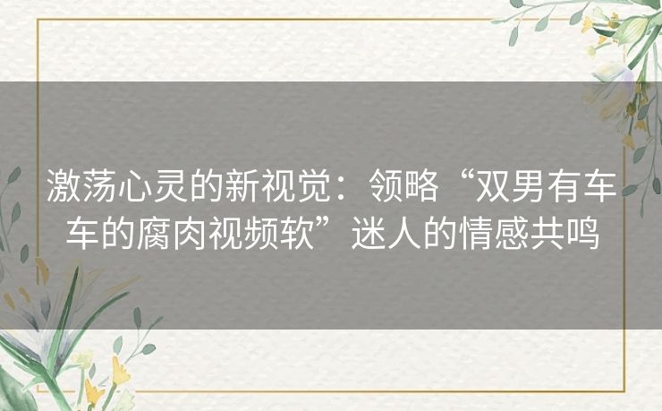 激荡心灵的新视觉：领略“双男有车车的腐肉视频软”迷人的情感共鸣