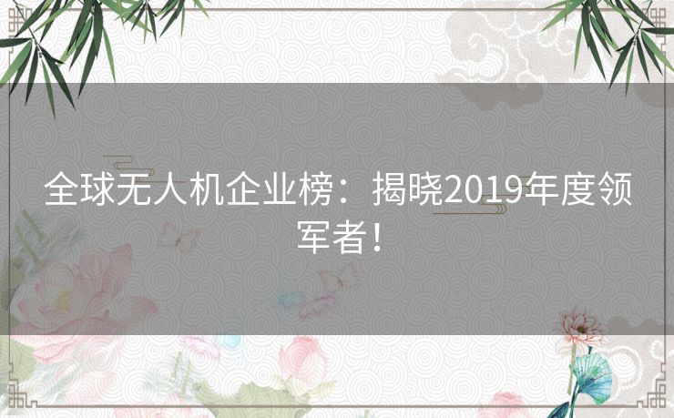 全球无人机企业榜：揭晓2019年度领军者！