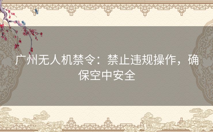 广州无人机禁令：禁止违规操作，确保空中安全