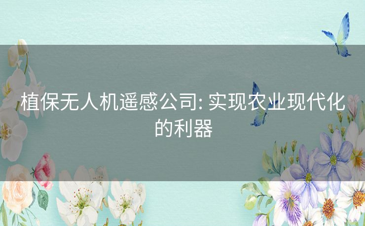 植保无人机遥感公司: 实现农业现代化的利器