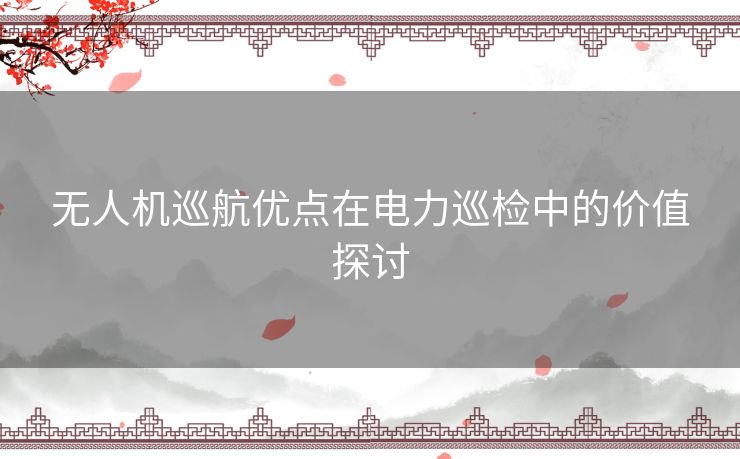 无人机巡航优点在电力巡检中的价值探讨