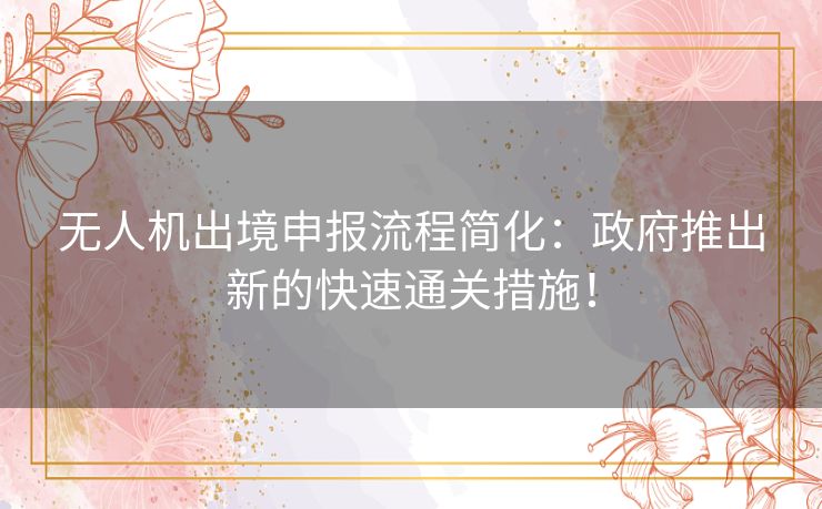 无人机出境申报流程简化：政府推出新的快速通关措施！