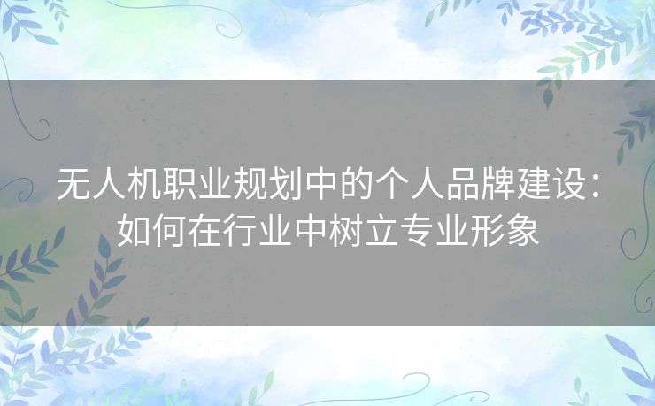 无人机职业规划中的个人品牌建设：如何在行业中树立专业形象