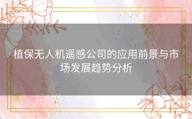 植保无人机遥感公司的应用前景与市场发展趋势分析