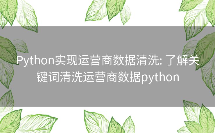 Python实现运营商数据清洗: 了解关键词清洗运营商数据python