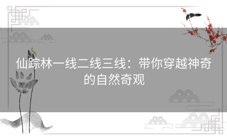 仙踪林一线二线三线：带你穿越神奇的自然奇观