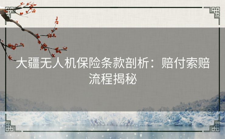 大疆无人机保险条款剖析：赔付索赔流程揭秘