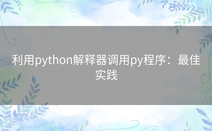 利用python解释器调用py程序：最佳实践