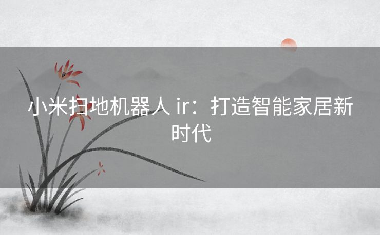 小米扫地机器人 ir：打造智能家居新时代