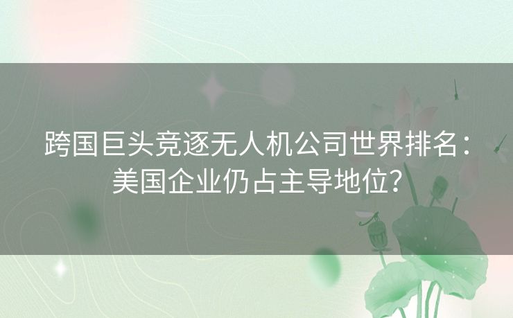 跨国巨头竞逐无人机公司世界排名：美国企业仍占主导地位？