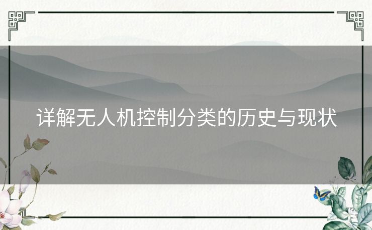 详解无人机控制分类的历史与现状