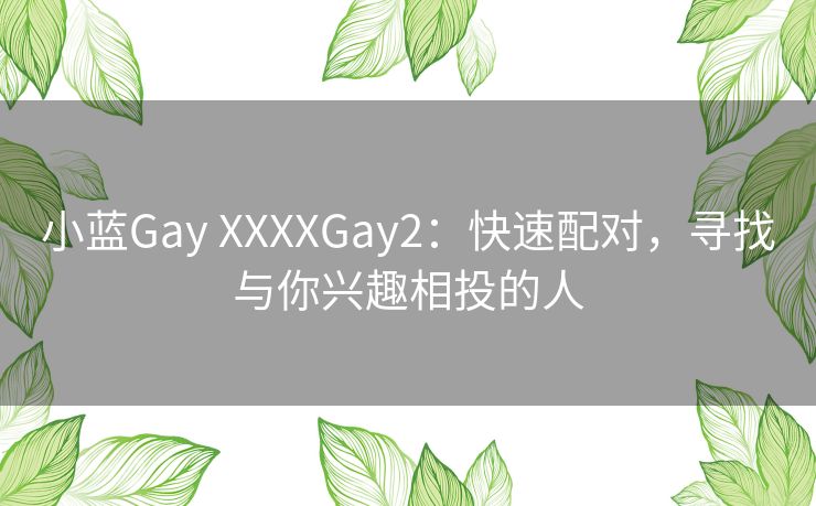 小蓝Gay XXXXGay2：快速配对，寻找与你兴趣相投的人