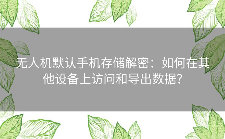 无人机默认手机存储解密：如何在其他设备上访问和导出数据？