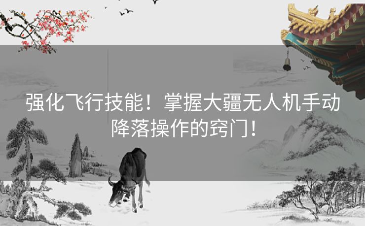 强化飞行技能！掌握大疆无人机手动降落操作的窍门！