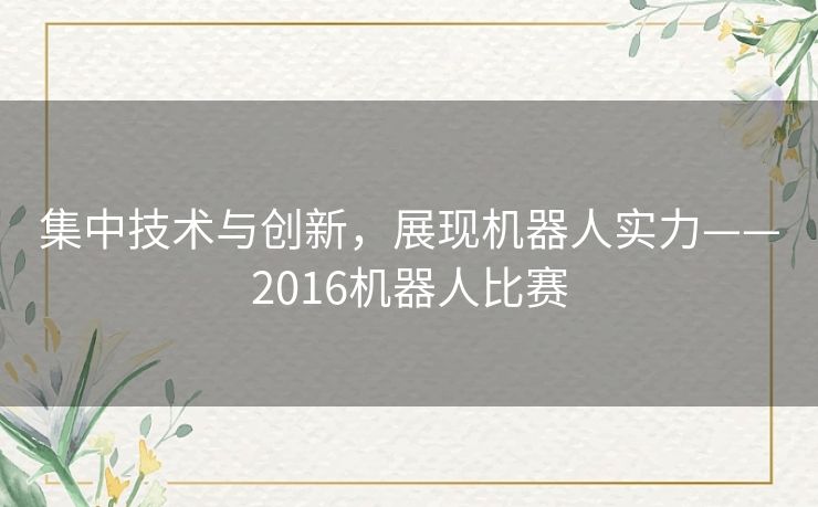 集中技术与创新，展现机器人实力——2016机器人比赛