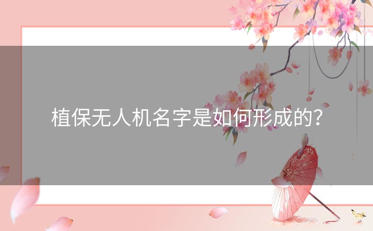 植保无人机名字是如何形成的？