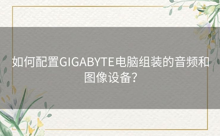 如何配置GIGABYTE电脑组装的音频和图像设备？