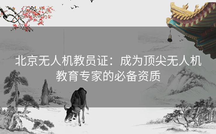 北京无人机教员证：成为顶尖无人机教育专家的必备资质