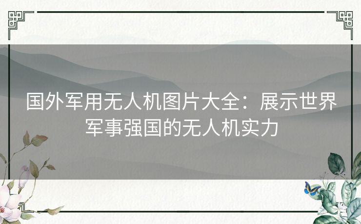 国外军用无人机图片大全：展示世界军事强国的无人机实力