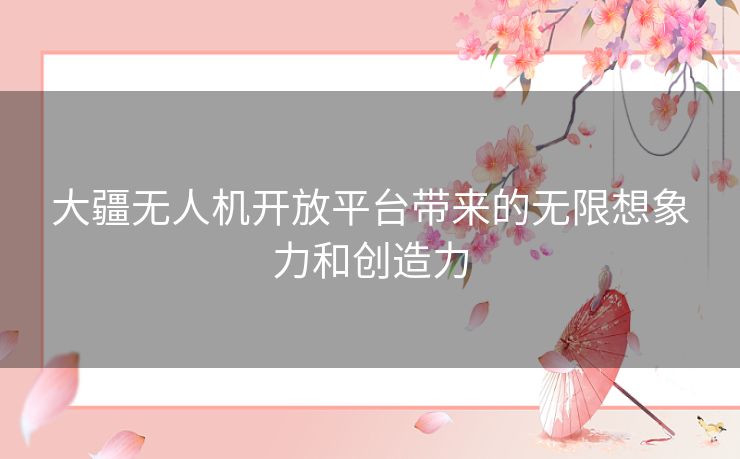 大疆无人机开放平台带来的无限想象力和创造力