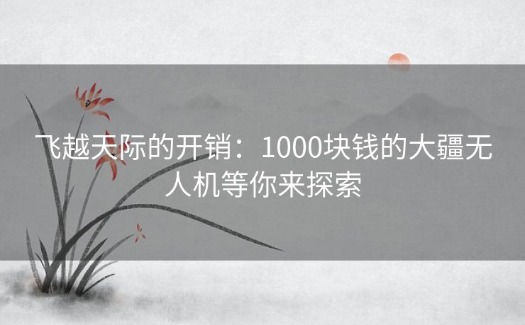 飞越天际的开销：1000块钱的大疆无人机等你来探索