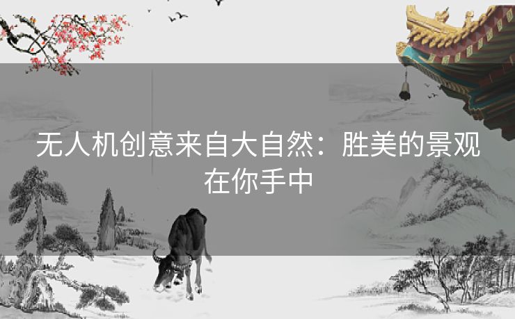 无人机创意来自大自然：胜美的景观在你手中